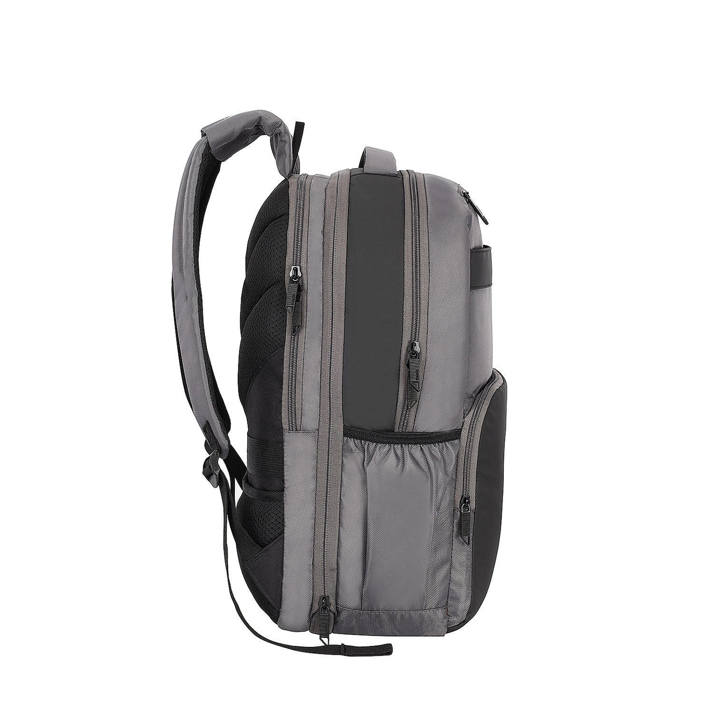 SEGNO 2.0 EXP LP.02 GREY
